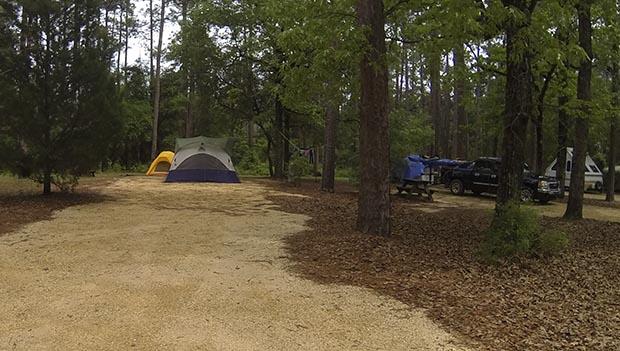 Blackwater River State Forest Krul Campground